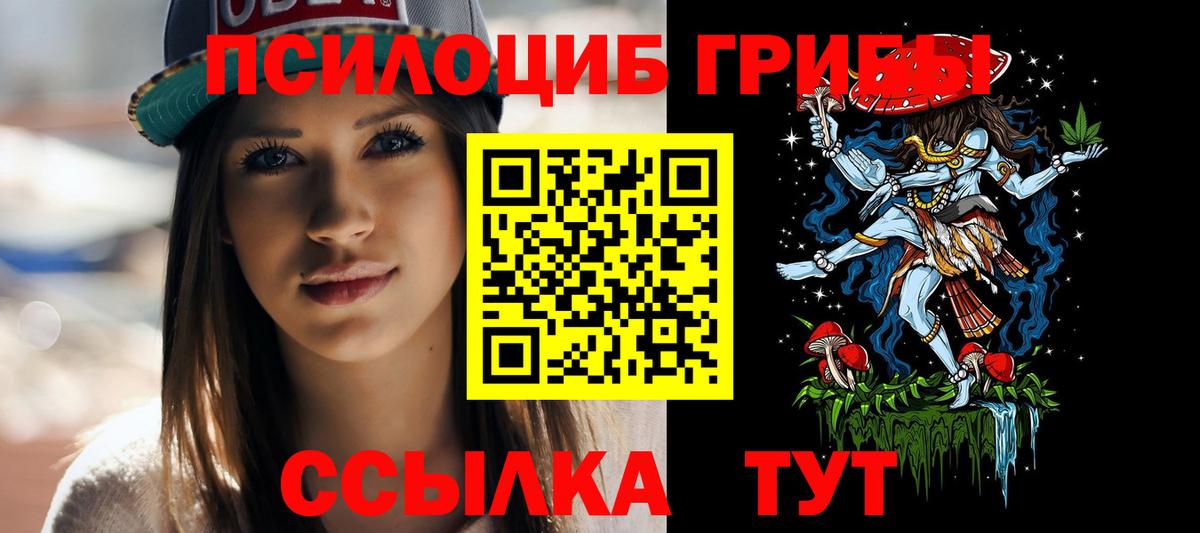 Галлюциногенные грибы Psilocybe Ростов Великий