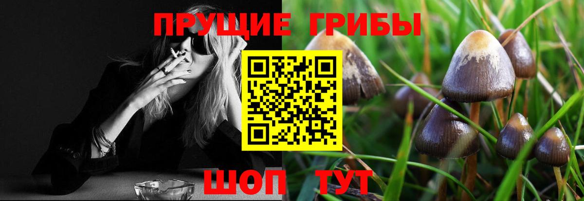 Ростов Великий  Галлюциногенные грибы GOLDEN TEACHER  Вход с VPN  Галлюциногенные грибы мухоморы 